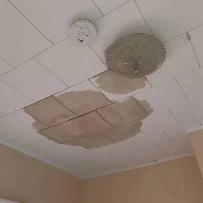 Ceiling Water Damage Repair in Rockport, MA